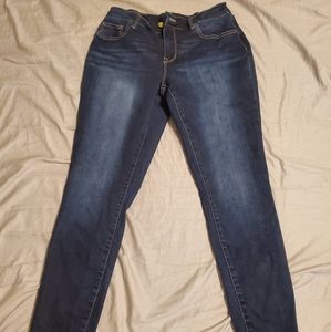 Large Skinny Regular Maurice's Jeggings